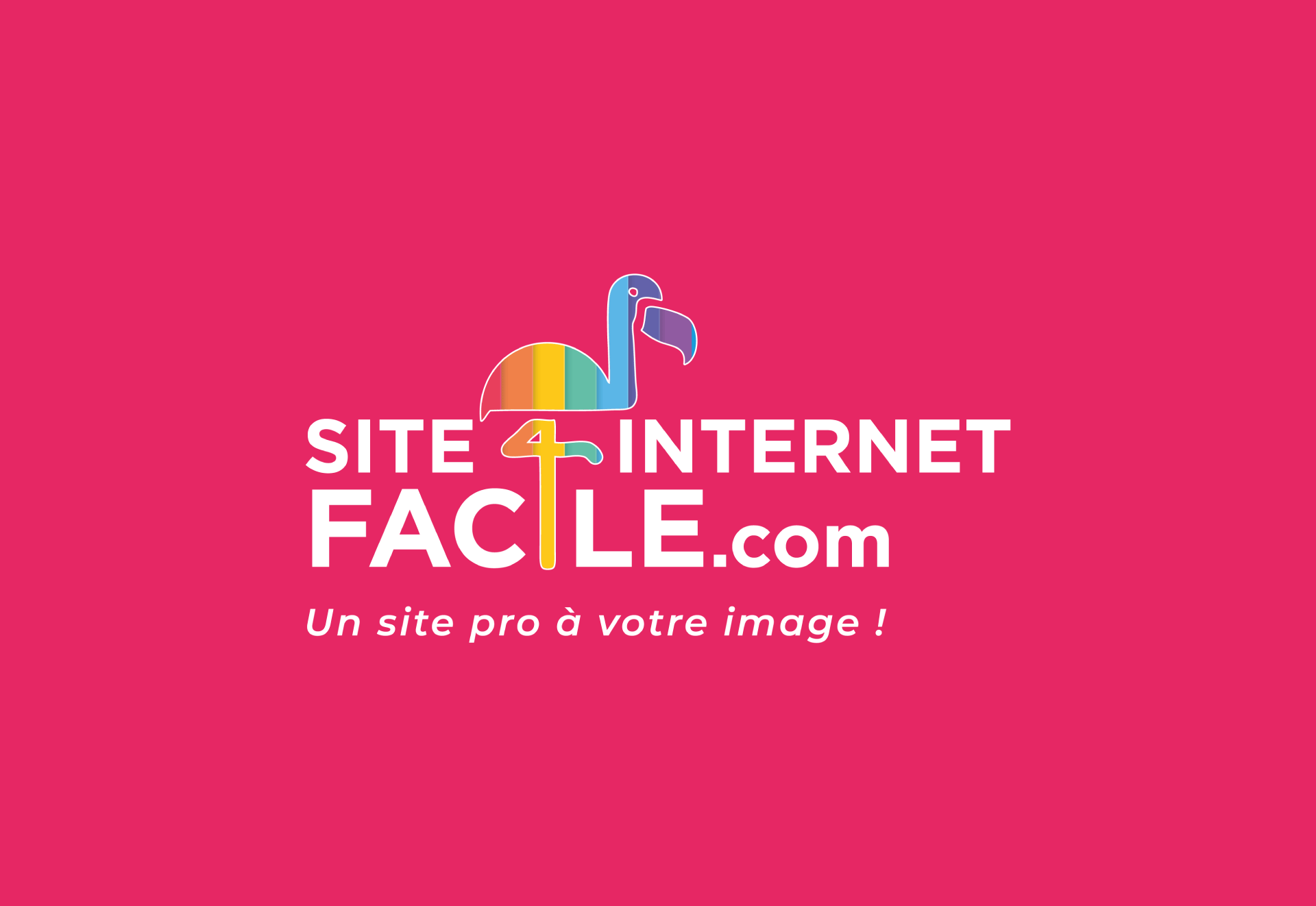 logo site internet facile